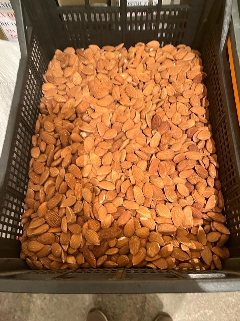 Frische Mandeln aus Sizilien