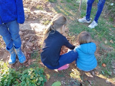 Kinder beim Pflanzen und Beackern auf dem Kinderacker